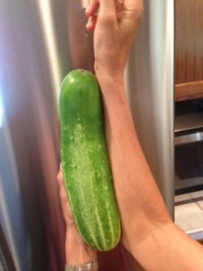 Large Cucumber